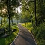 Scenic running trail through a green city park