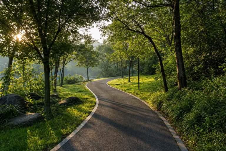 Scenic running trail through a green city park